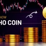 Kibho coin
