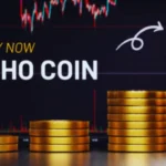 Kibho Coin Price Chart