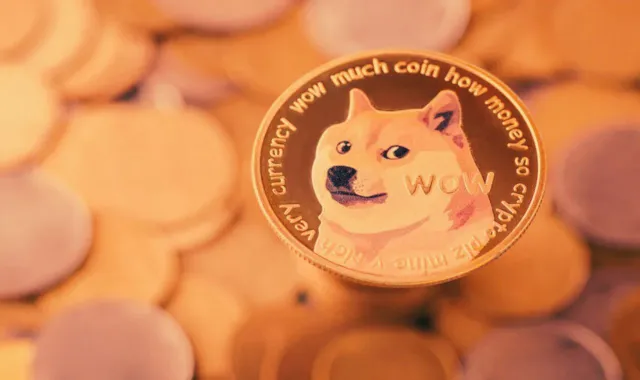 doge inr